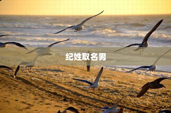 纪姓取名男