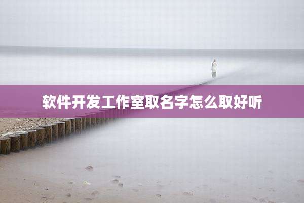 软件开发工作室取名字怎么取好听