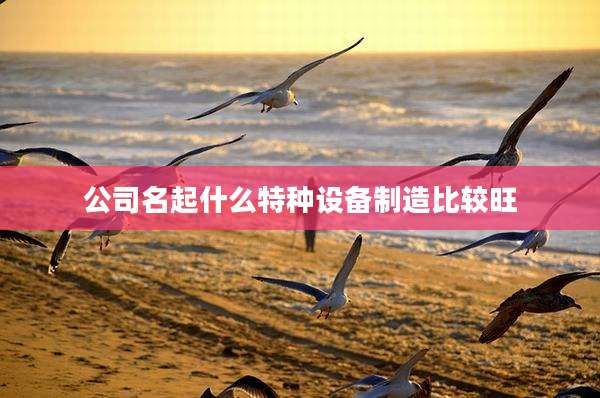 公司名起什么特种设备制造比较旺