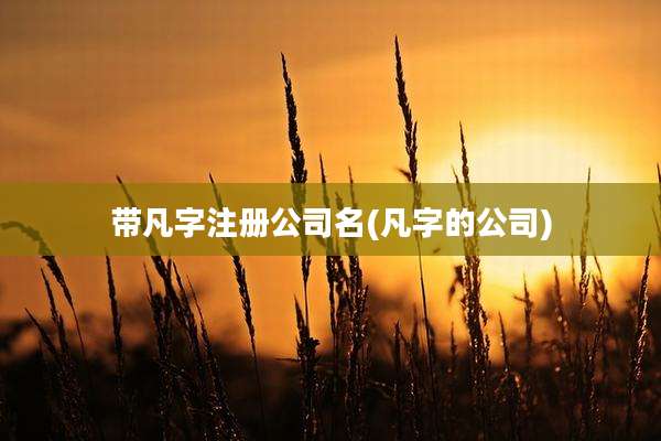 带凡字注册公司名(凡字的公司)
