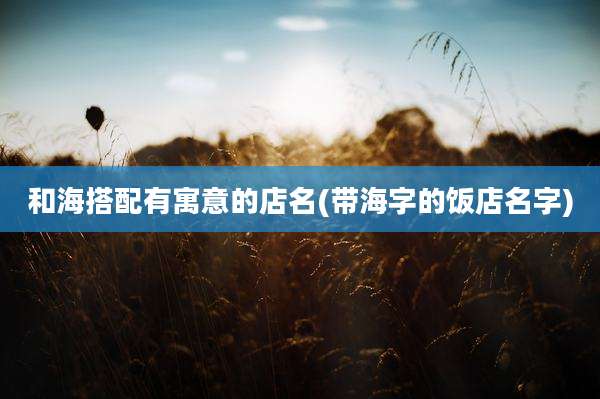 和海搭配有寓意的店名(带海字的饭店名字)