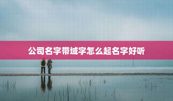 公司名字带域字怎么起名字好听