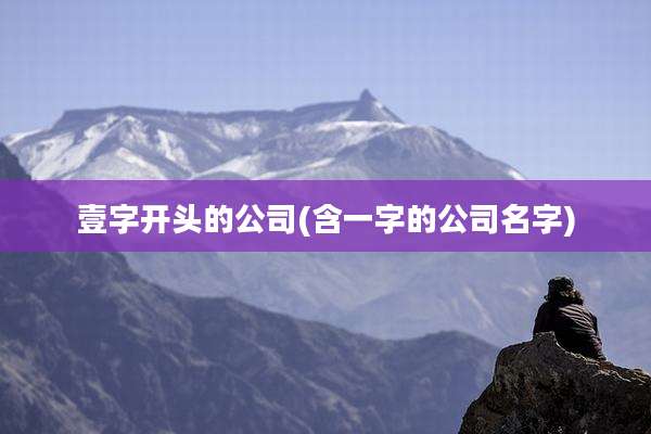 壹字开头的公司(含一字的公司名字)