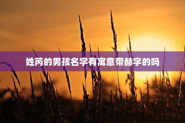 姓芮的男孩名字有寓意带赫字的吗