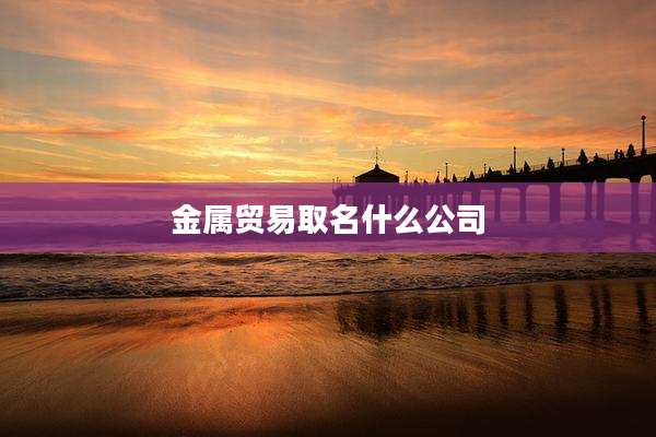 金属贸易取名什么公司