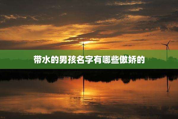 带水的男孩名字有哪些傲娇的