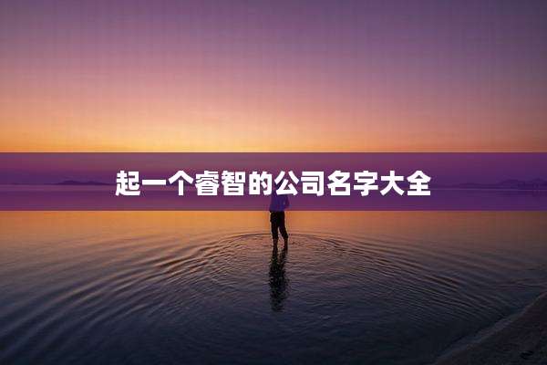 起一个睿智的公司名字大全