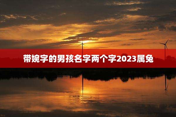 带婉字的男孩名字两个字2023属兔