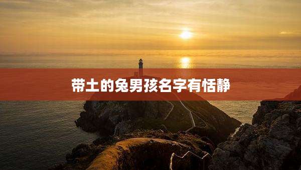 带土的兔男孩名字有恬静