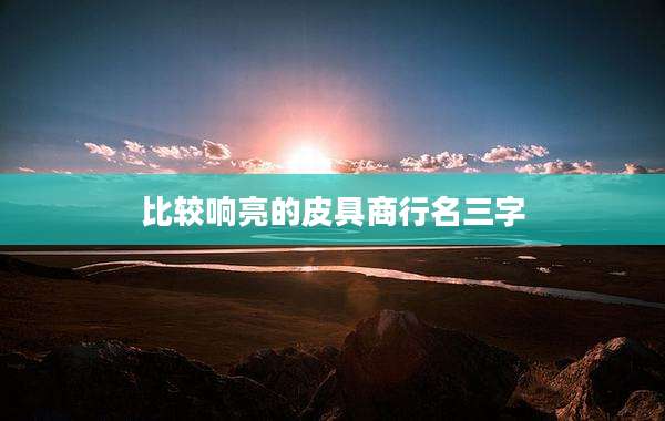 比较响亮的皮具商行名三字