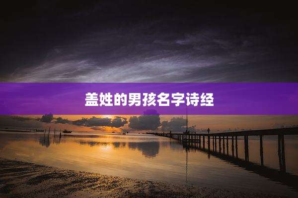 盖姓的男孩名字诗经