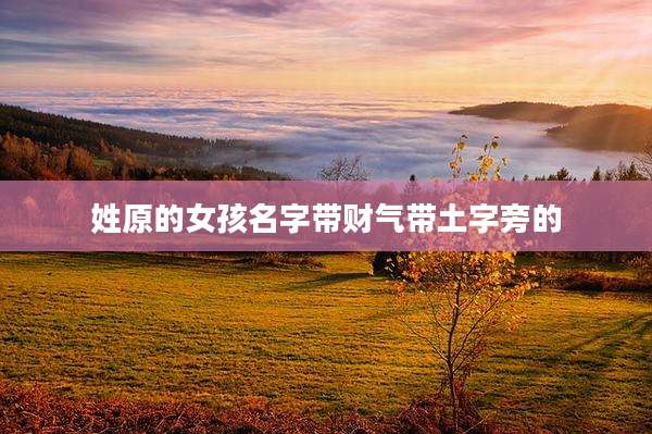 姓原的女孩名字带财气带土字旁的