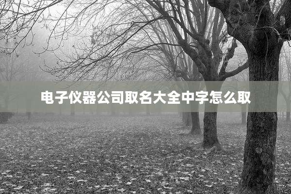 电子仪器公司取名大全中字怎么取