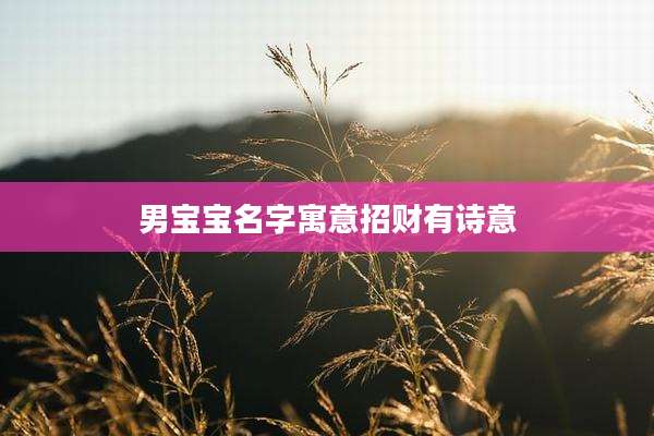 男宝宝名字寓意招财有诗意