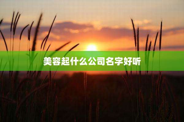 美容起什么公司名字好听