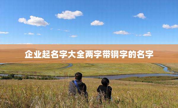 企业起名字大全两字带钢字的名字