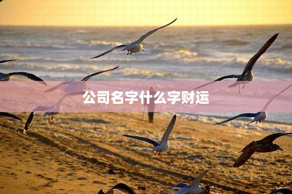 公司名字什么字财运