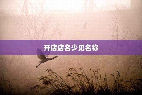 开店店名少见名称