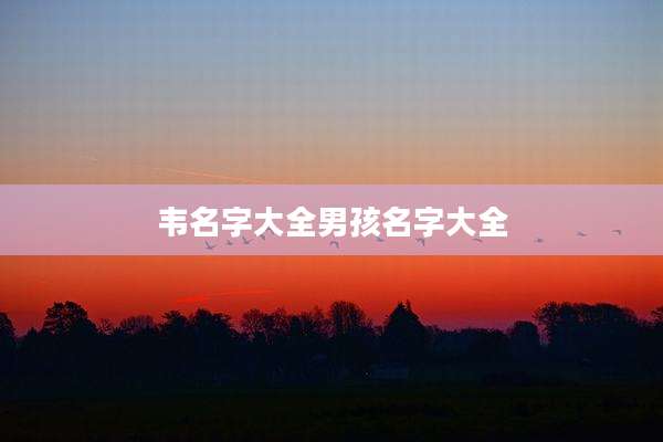 韦名字大全男孩名字大全