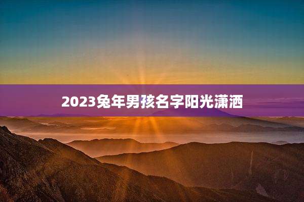 2023兔年男孩名字阳光潇洒