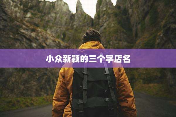 小众新颖的三个字店名