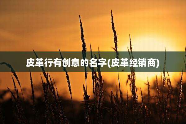 皮革行有创意的名字(皮革经销商)