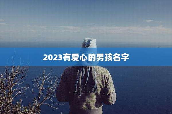2023有爱心的男孩名字