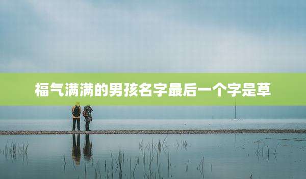 福气满满的男孩名字最后一个字是草