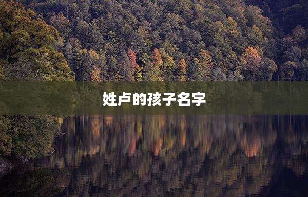 姓卢的孩子名字