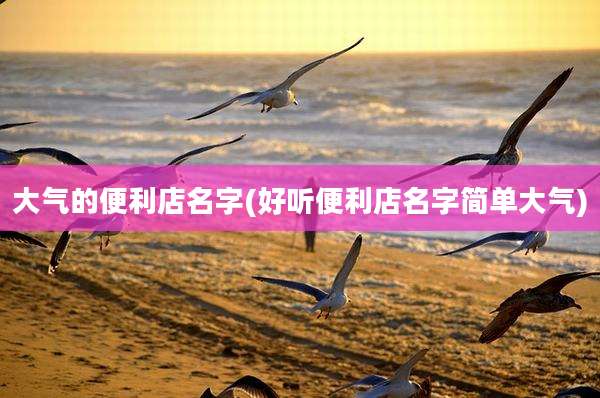 大气的便利店名字(好听便利店名字简单大气)