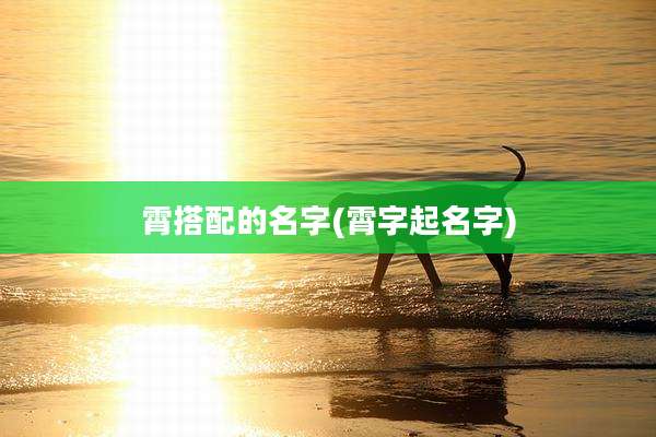 霄搭配的名字(霄字起名字)