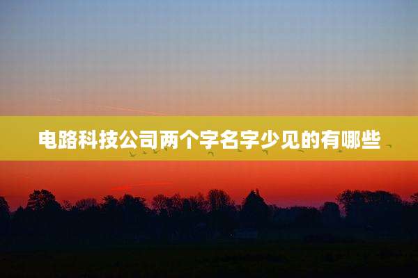 电路科技公司两个字名字少见的有哪些
