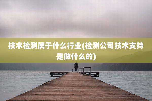 技术检测属于什么行业(检测公司技术支持是做什么的)