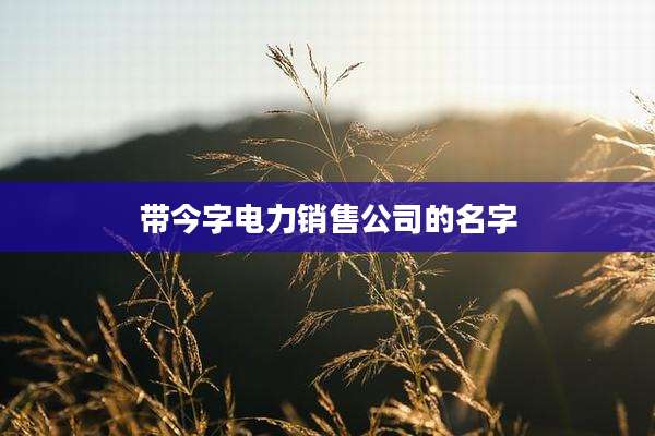 带今字电力销售公司的名字