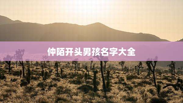 仲陌开头男孩名字大全