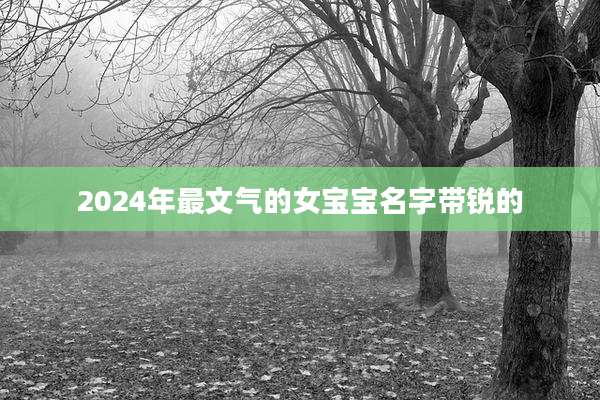 2024年最文气的女宝宝名字带锐的