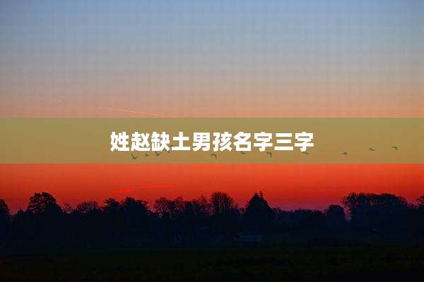 姓赵缺土男孩名字三字
