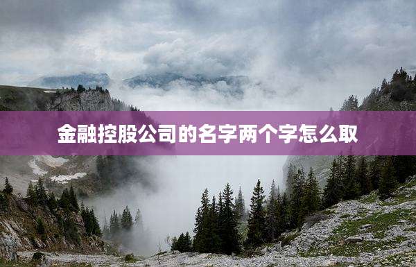 金融控股公司的名字两个字怎么取