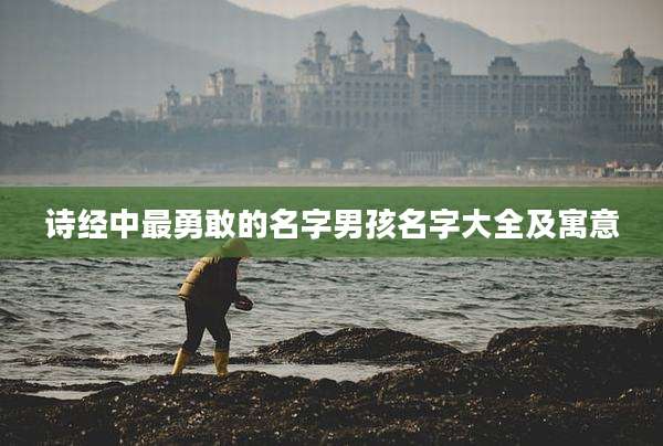 诗经中最勇敢的名字男孩名字大全及寓意