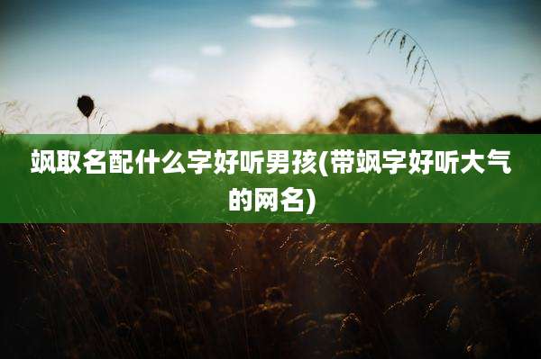 飒取名配什么字好听男孩(带飒字好听大气的网名)