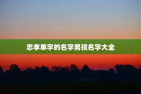 忠孝单字的名字男孩名字大全