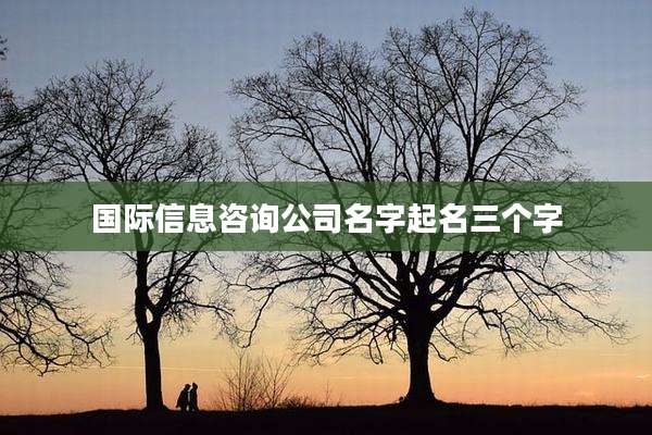国际信息咨询公司名字起名三个字