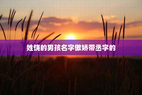 姓饶的男孩名字傲娇带丞字的
