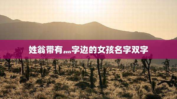 姓翁带有灬字边的女孩名字双字
