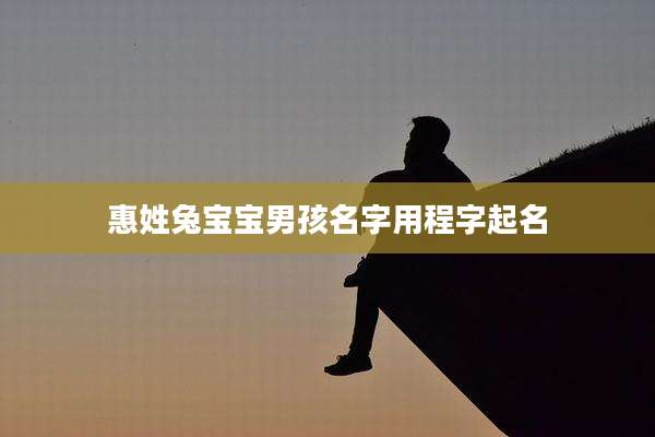 惠姓兔宝宝男孩名字用程字起名