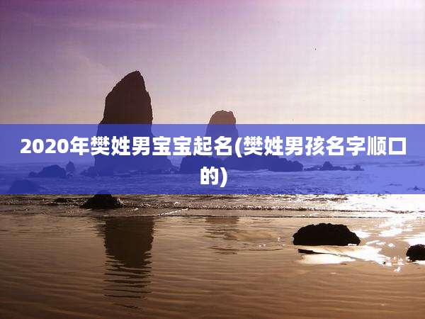 2020年樊姓男宝宝起名(樊姓男孩名字顺口的)
