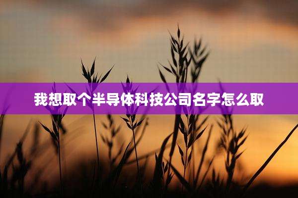 我想取个半导体科技公司名字怎么取