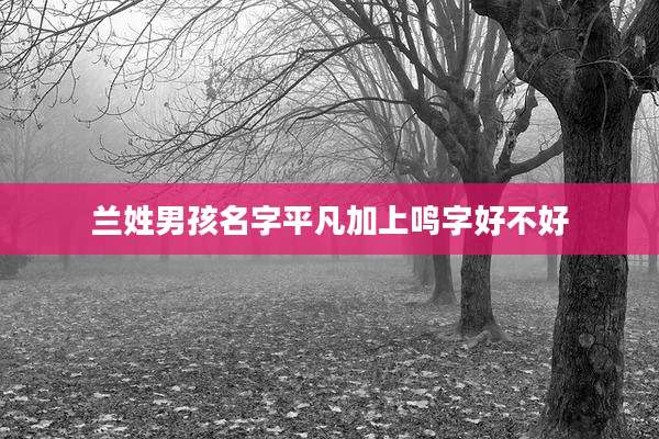 兰姓男孩名字平凡加上鸣字好不好