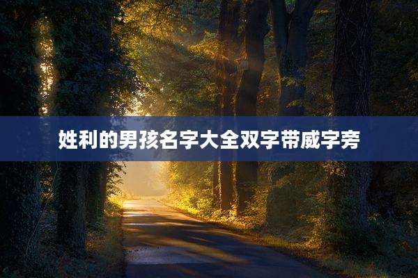 姓利的男孩名字大全双字带威字旁