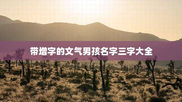 带增字的文气男孩名字三字大全